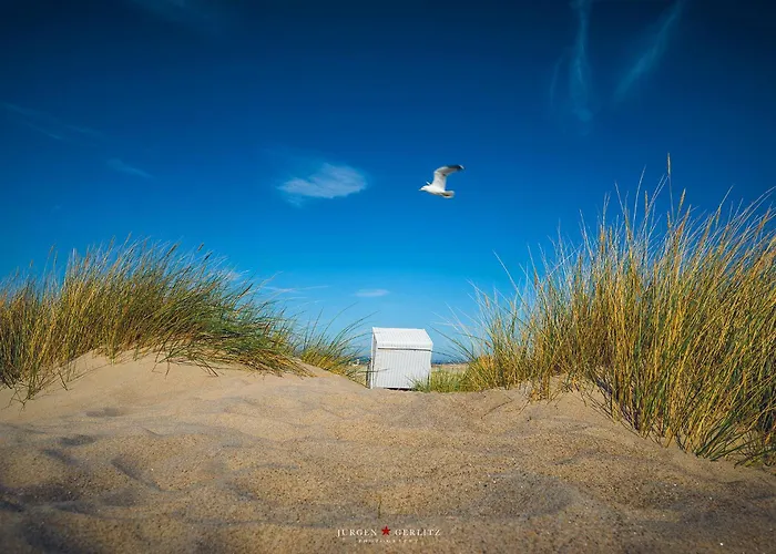 Vakantiehuis Snorris *